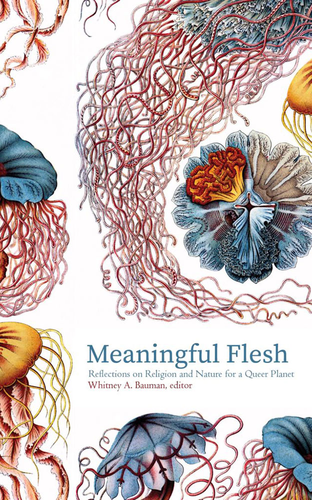 Meaningful Flesh cover